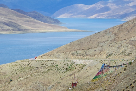 8993 Yamdrok Lake