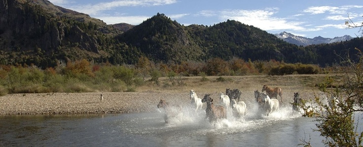 2005 Estancia Tres Lagos
