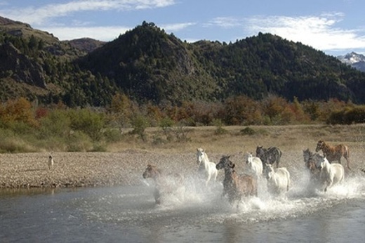 2005 Estancia Tres Lagos