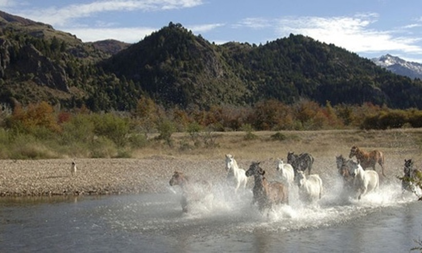 2005 Estancia Tres Lagos