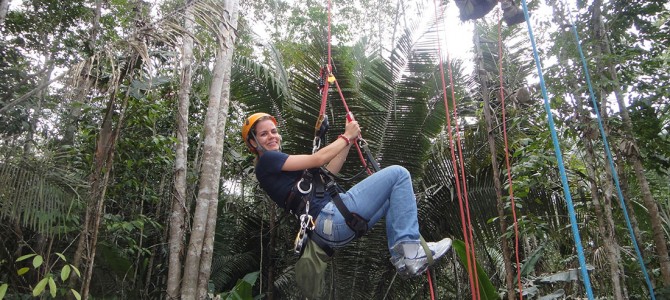 Tree Climbing Amazon Lodges