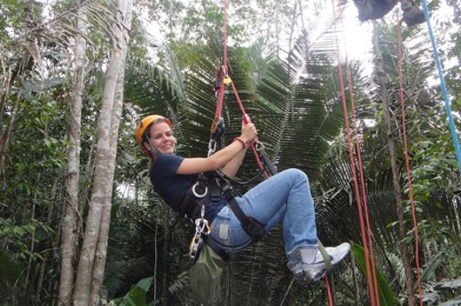 Visitor climbs tall Amazon tree using safety ropes on a guided rainforest adventure tour. 