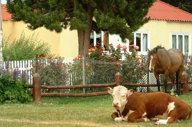 1992 Estancia La Quinta