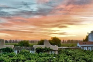 1975 Cavas Wine Lodge