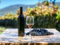 A bottle of red wine, a glass, and a cluster of grapes sit on a vineyard table with Chilean vines and hills in the background. 