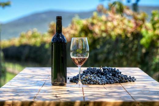A bottle of red wine, a glass, and a cluster of grapes sit on a vineyard table with Chilean vines and hills in the background. 