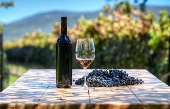 A bottle of red wine, a glass, and a cluster of grapes sit on a vineyard table with Chilean vines and hills in the background. 