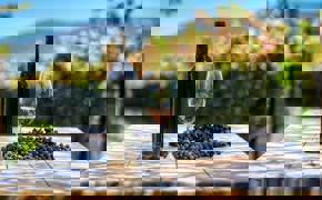 Dégustation de vins au Chili