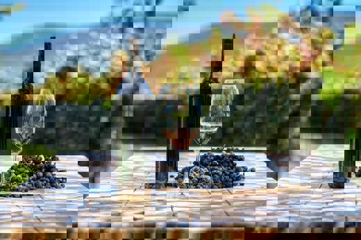 A bottle of red wine, a glass, and a cluster of grapes sit on a vineyard table with Chilean vines and hills in the background. 