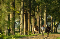 2002 Estancia La Bamba