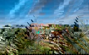 Tourists enjoy a horse-drawn cart ride in Sisal through lush agave fields at a traditional Mexican hacienda. 