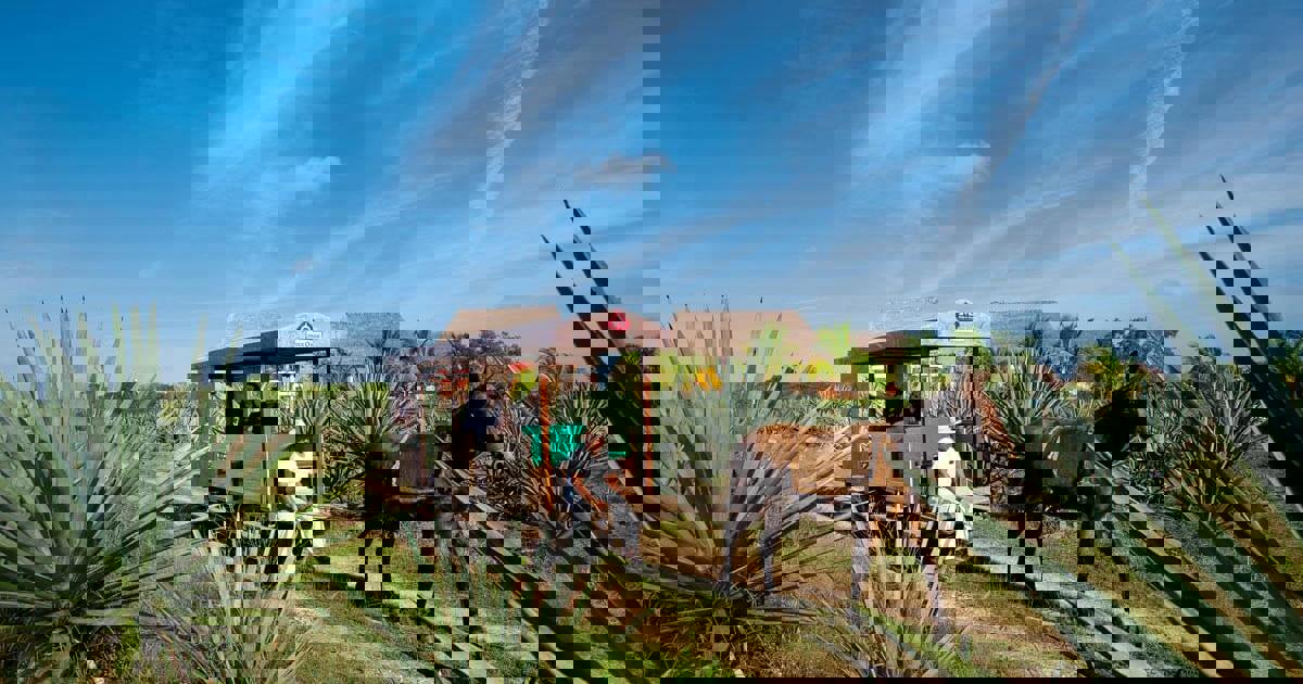 Sisal | Discover Mexico with Veloso Tours - Latin America specialists