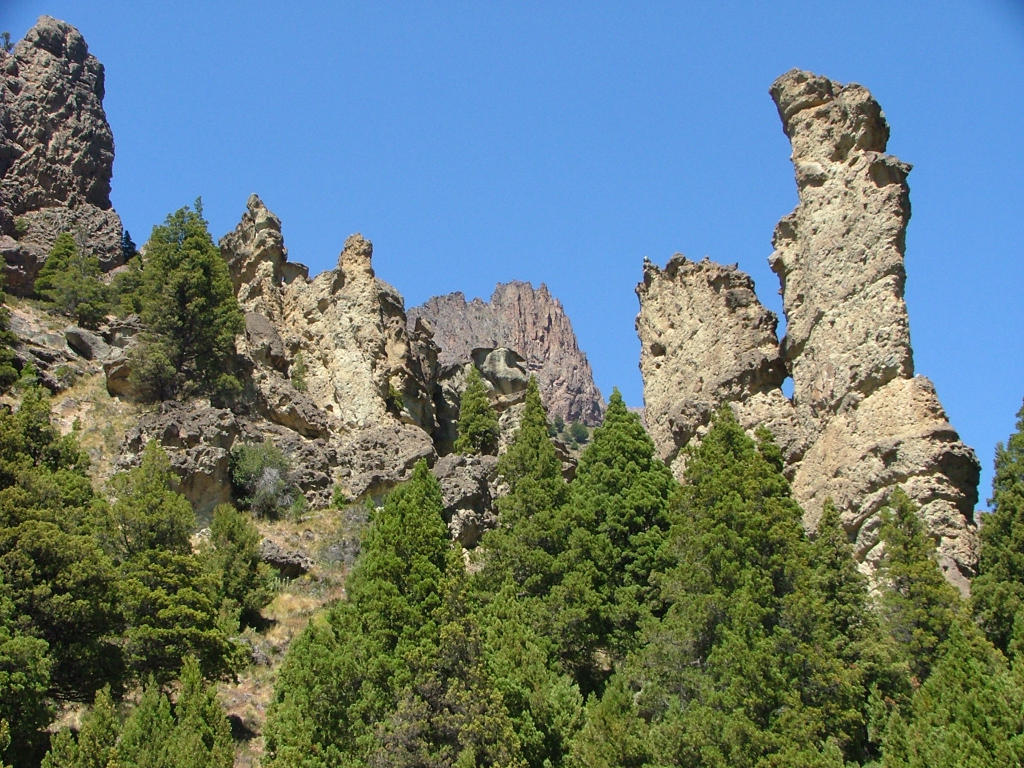 9049 Enchanted Valley