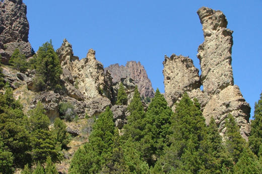 9049 Enchanted Valley