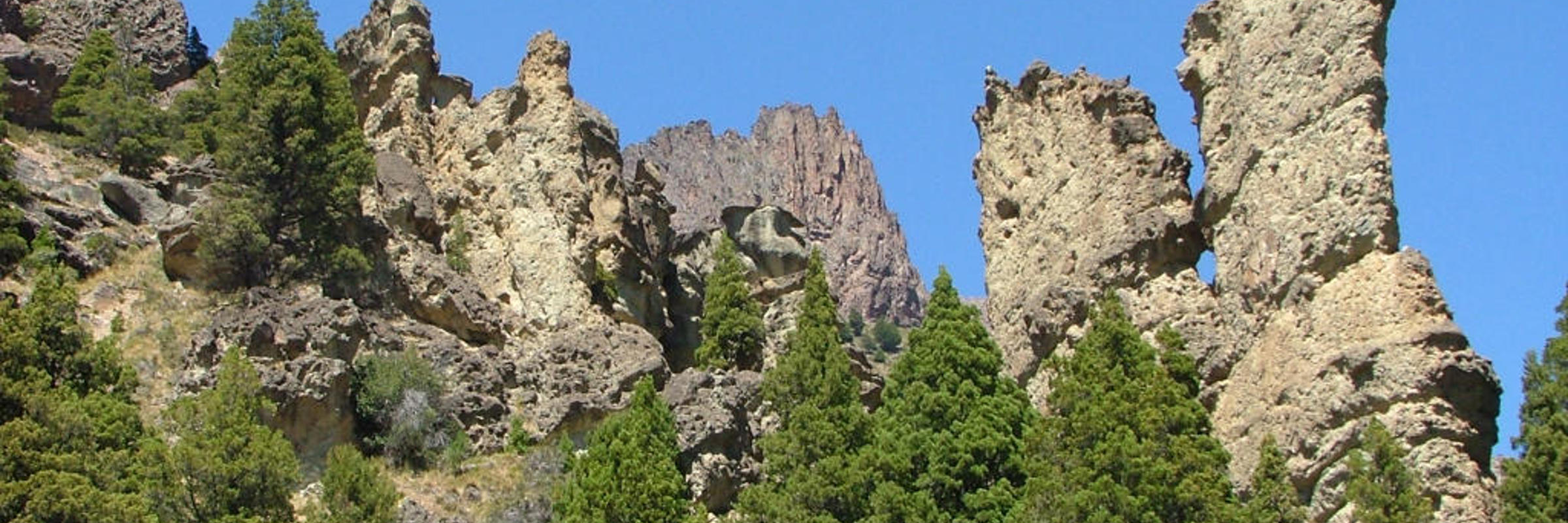 9049 Enchanted Valley
