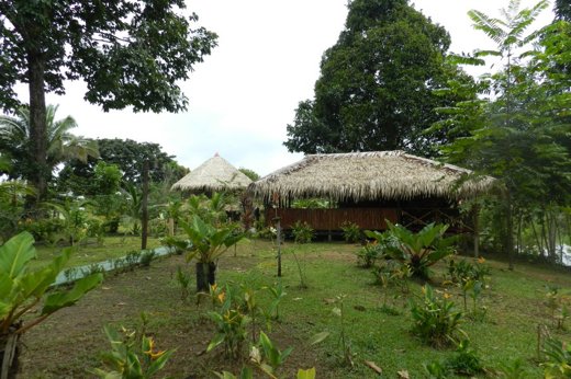 1786 Turtle Lodge