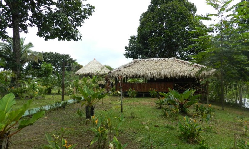 1786 Turtle Lodge