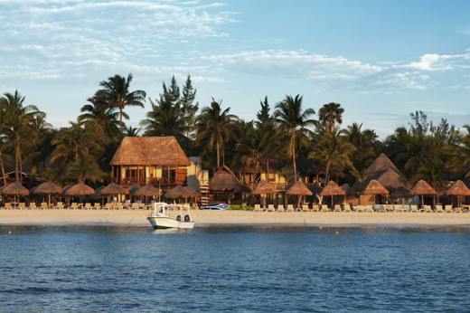 Beachfront palapas and palm trees at Playa del Carmen on the Riviera Maya, Mexico with turquoise Caribbean Sea views. 