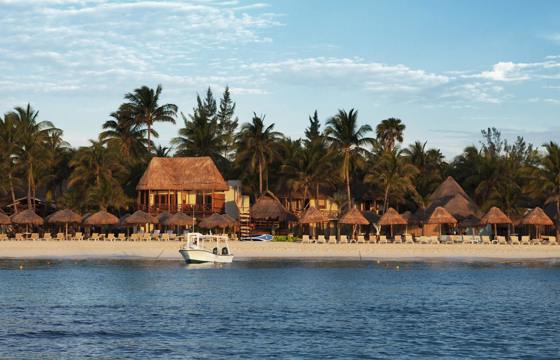 Beachfront palapas and palm trees at Playa del Carmen on the Riviera Maya, Mexico with turquoise Caribbean Sea views. 