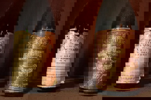 Maipo Valley Wine Bottles