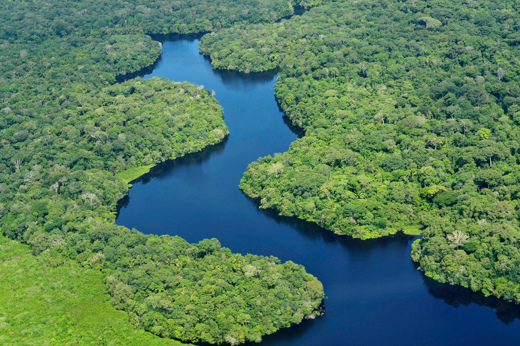 Aerial view of the winding Amazon tributaries flowing through lush jungle in the heart of Brazil's rainforest. 