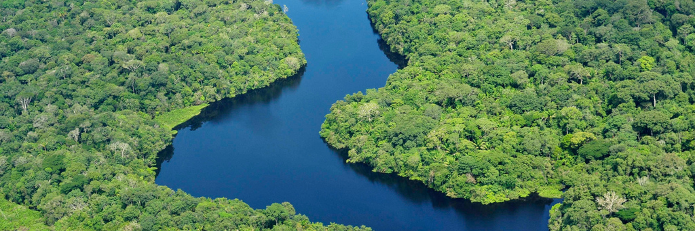 Aerial view of the winding Amazon tributaries flowing through lush jungle in the heart of Brazil's rainforest. 