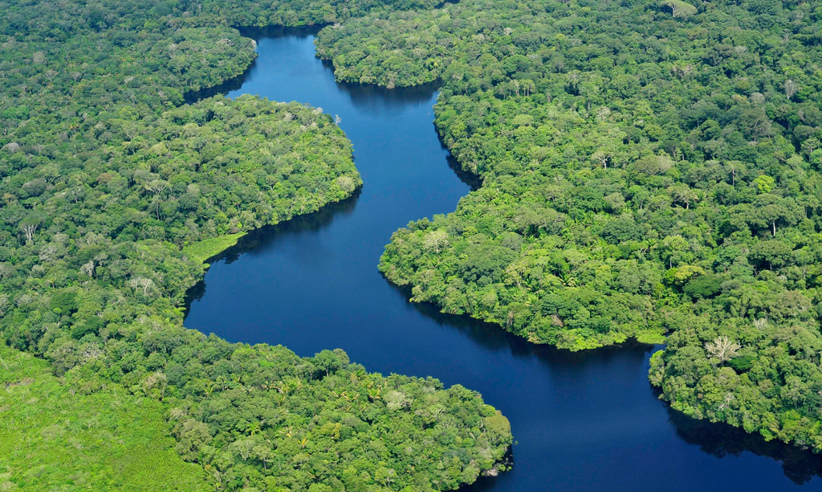 Aerial view of the winding Amazon tributaries flowing through lush jungle in the heart of Brazil's rainforest. 