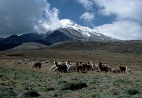 3979 Riobamba & Avenue Of Volcanoes