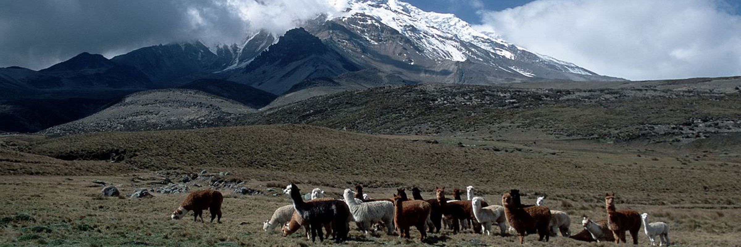 3979 Riobamba & Avenue Of Volcanoes