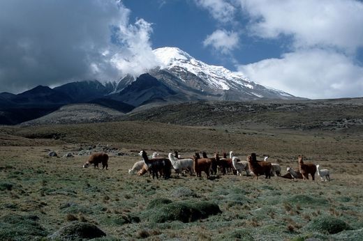 3979 Riobamba & Avenue Of Volcanoes