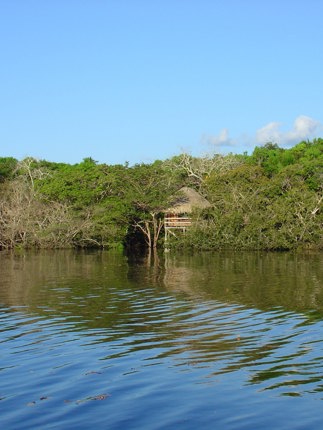 1785 Juma Lodge