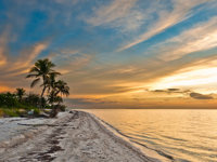 Sunset over the sandy beaches and palm trees of Holbox Island, Yucatan, Mexico, with dramatic evening sky. 