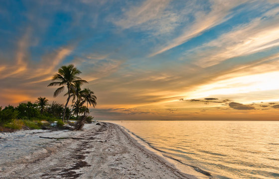 Sunset over the sandy beaches and palm trees of Holbox Island, Yucatan, Mexico, with dramatic evening sky. 