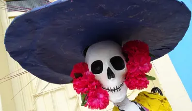 4911 The Beginners Guide To The Day Of The Dead