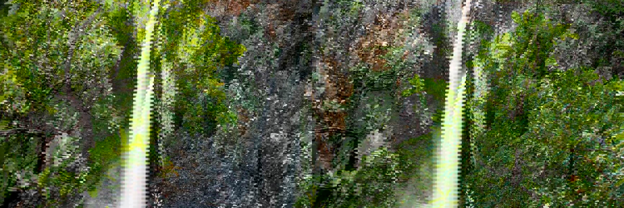 Chapada dos Veadeiros
