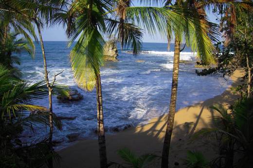 Palm-fringed sandy beach in Manzanillo, Mexico, with waves, rocky shoreline, and lush tropical vegetation. 