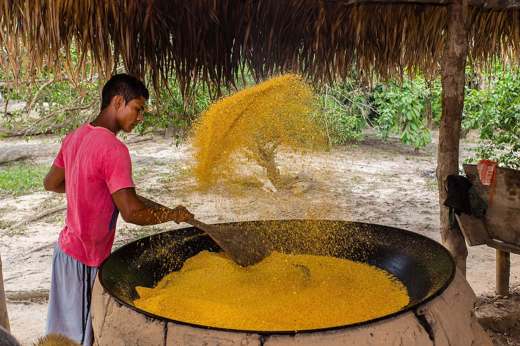 Local Amazonian man preparing farofa over a large open pan under a thatched roof in a traditional village setting. 
