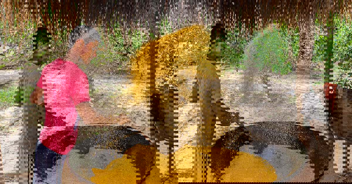 Amazon Community Visit - Amazon Lodges