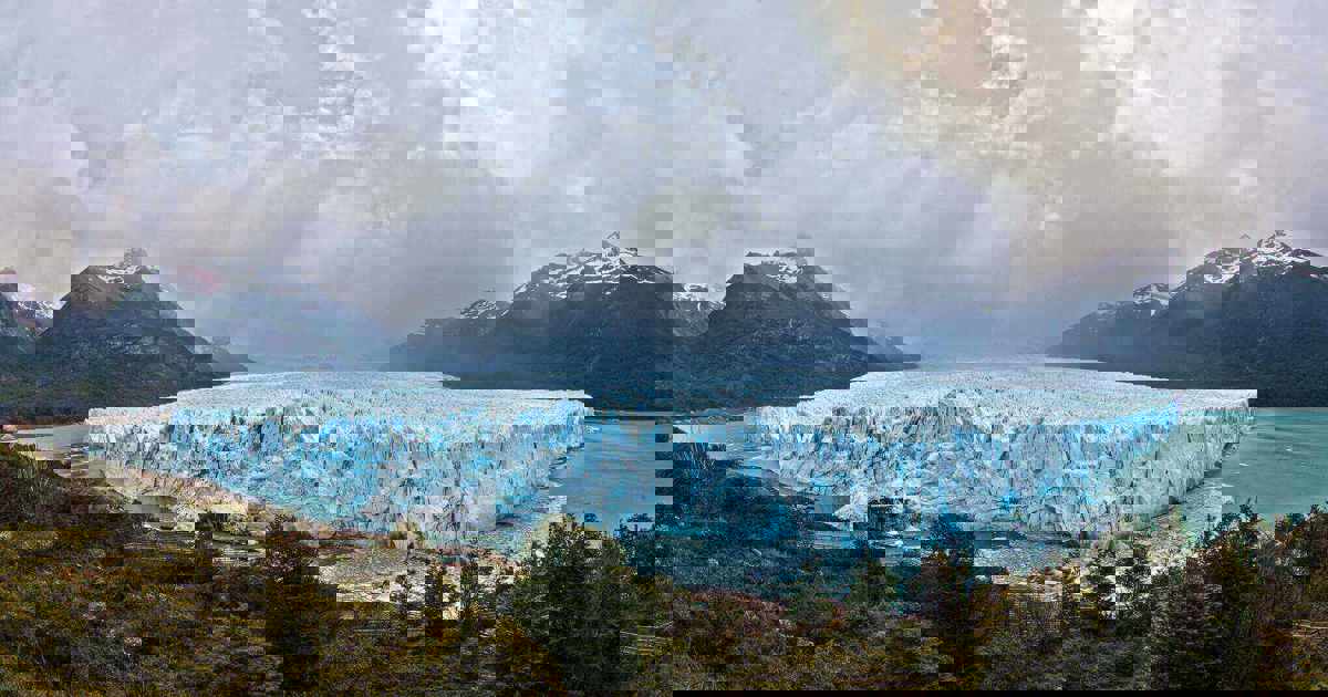 Chile country celebration Guanaco | Discover Argentina with Veloso Tours - Latin America Specialists