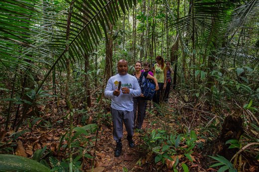 Local Amazon guide leading a jungle trek with tourists through the rainforest, sharing knowledge about native plants. 