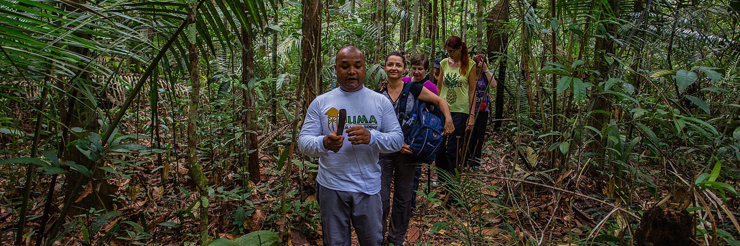 Local Amazon guide leading a jungle trek with tourists through the rainforest, sharing knowledge about native plants. 