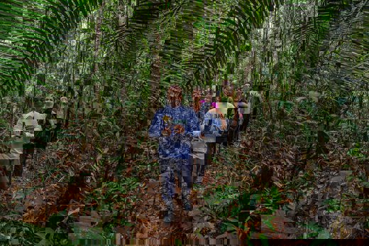 8601 Jungle Nature Trails