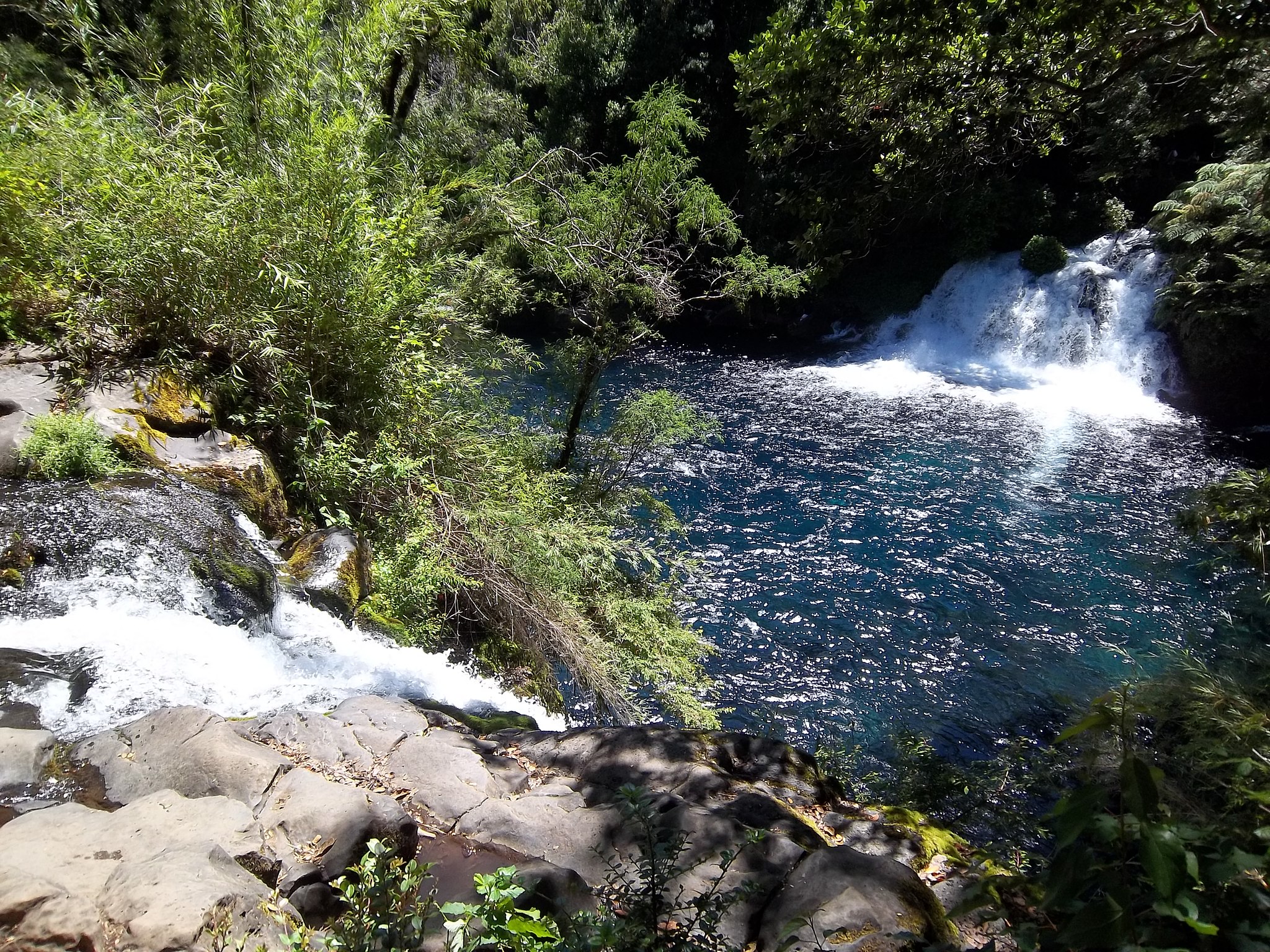 Caburgua waterfalls cascade into a clear blue pool surrounded by forest near Pucon in Chile's Lake District. 