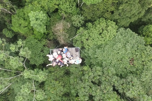 Aerial view of tourists exploring the Amazon rainforest canopy from a suspended tree platform in Brazil. 