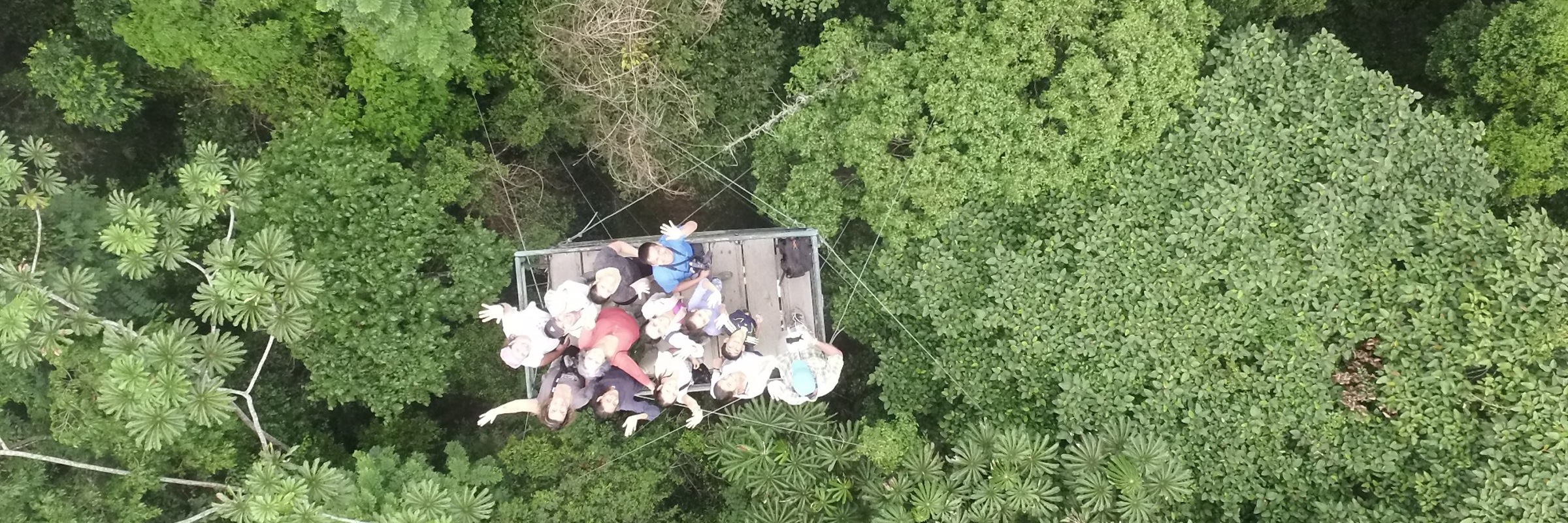 Aerial view of tourists exploring the Amazon rainforest canopy from a suspended tree platform in Brazil. 