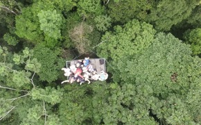 8555 Top 6 Things To Do In The Amazon Rainforest