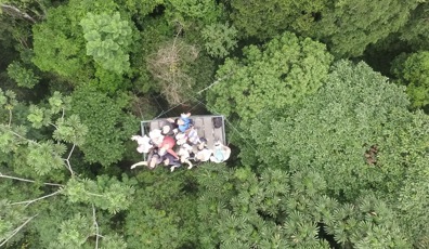 8555 Top 6 Things To Do In The Amazon Rainforest