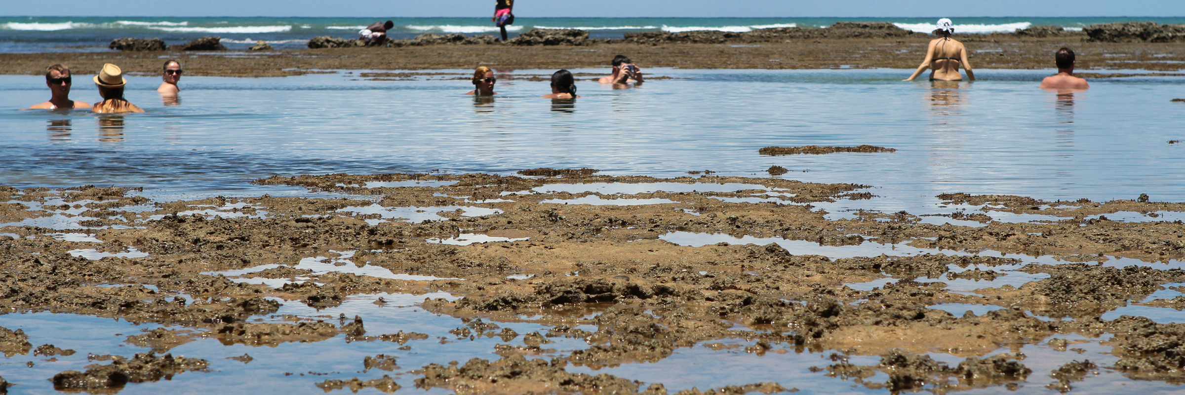 4136 Coral Reef & Activities