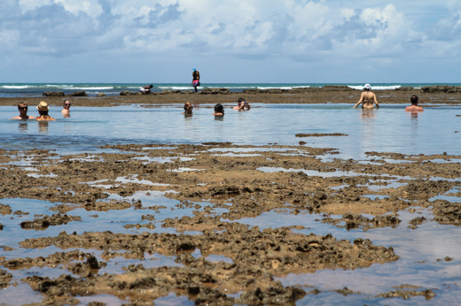 4136 Coral Reef & Activities