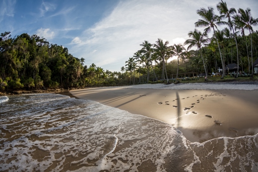 Secluded tropical beach in Brazil at sunset, with footprints in the sand and palm trees lining the coast. 